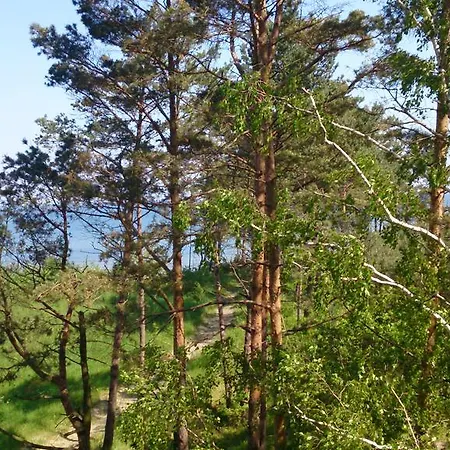 Apartament Porta Mare Luxview *