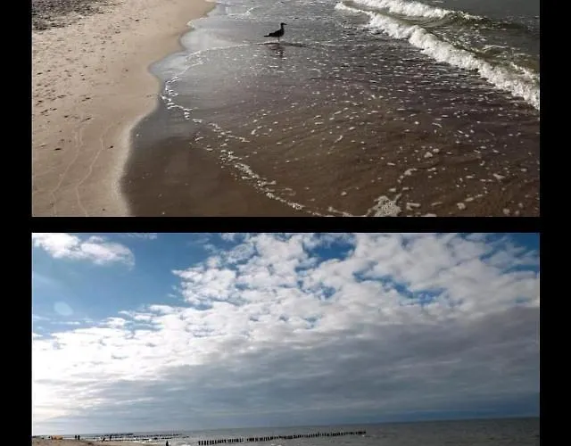 Porta Mare Luxview * دجيفنوفيك